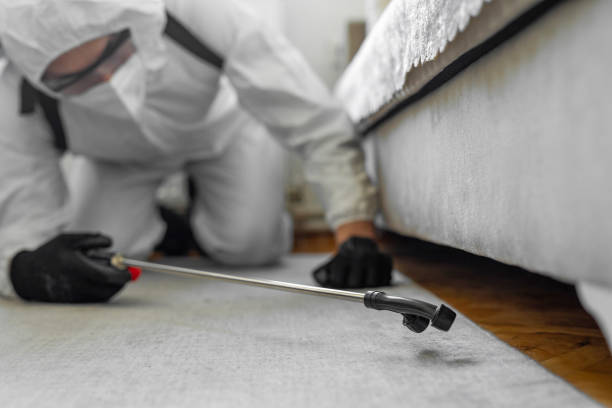 Professional Termite Control technician working in Randolph, NE