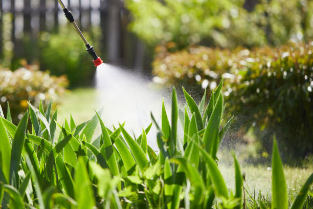 24/7 Emergency Termite Control experts in Randolph, NE